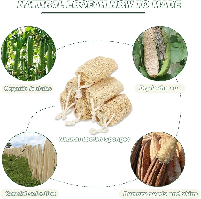 Natural Loofah Slices Cuts for Soap Making-20 Pack Organic Luffa Loofa Sponges for Soap Holder Handmade DIY Loofa Pet Toy Loofahs
