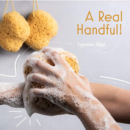 myHomeBody Bath Sponge, Foam Loofah, Body Scrubber for Bathing, Exfoliating Shower Pouf for Shower – Large Size, Lots of Lather, Curvy, 2 Pack