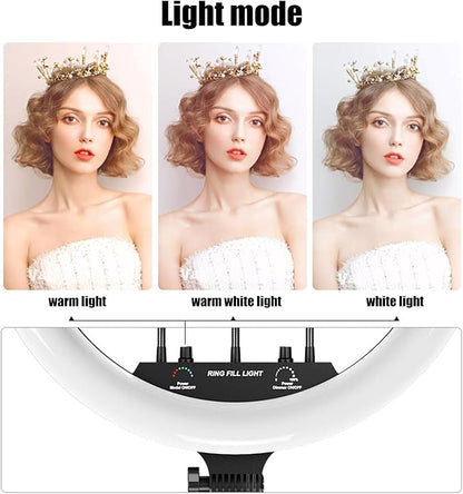 10" Replaceable Selfie Ring Light, Without Tripod, 32 Color Modes, Dimmable LED Ring Light for iPhone and Android, TikTok, Live Stream, YouTube, Makeup
