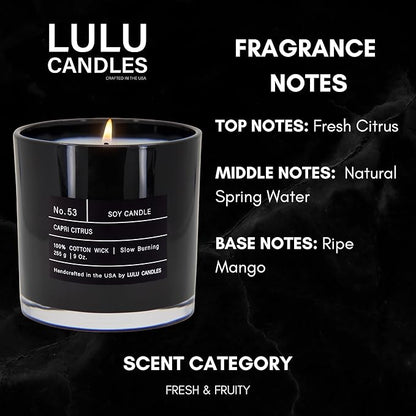 Lulu Candles | Capri Citrus | Luxury Scented Soy Jar Candle | Hand Poured in The USA | Highly Scented & Long Lasting (9 Oz.)
