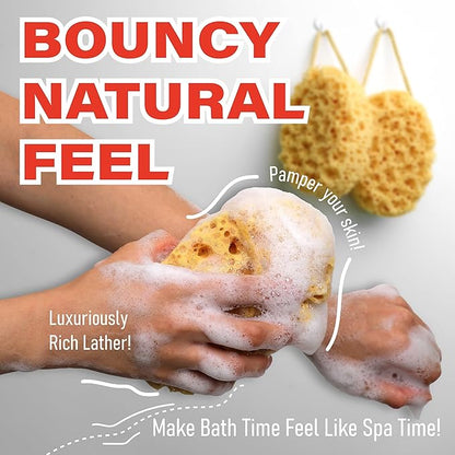 myHomeBody Bath Sponge, Foam Loofah, Body Scrubber for Bathing, Exfoliating Shower Pouf for Shower - Large Size, Lots of Lather, Oval, 3 Pack