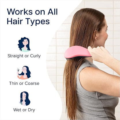 Crave Naturals Glide Thru Detangling Brush for Adults and Kids - Detangler Hair Brush for Curly or Straight, Wet or Dry Hair - Gentle on Tangles Hair Comb - 7.5x3-Inch, Pink and Purple (Pack of 2)
