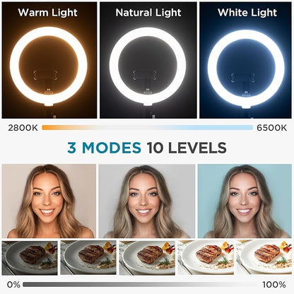 InnoGear Overhead Phone Mount with Ring Light, 10" LED Selfie Ring Light for Desk with Phone Holder and Remote Canvas Lamp Light for YouTube Live Stream Cooking Video Recording Vlog Zoom Meeting