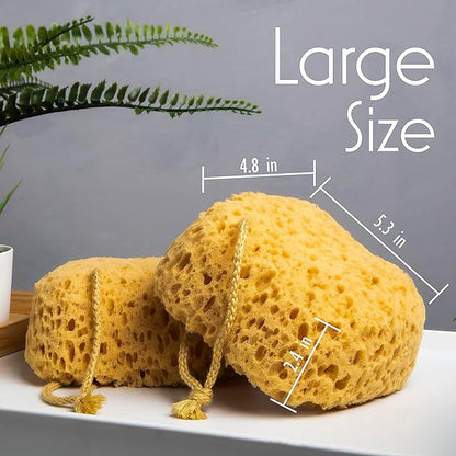 myHomeBody Bath Sponge, Foam Loofah, Body Scrubber for Bathing, Exfoliating Shower Pouf for Shower – Large Size, Lots of Lather, Curvy, 2 Pack