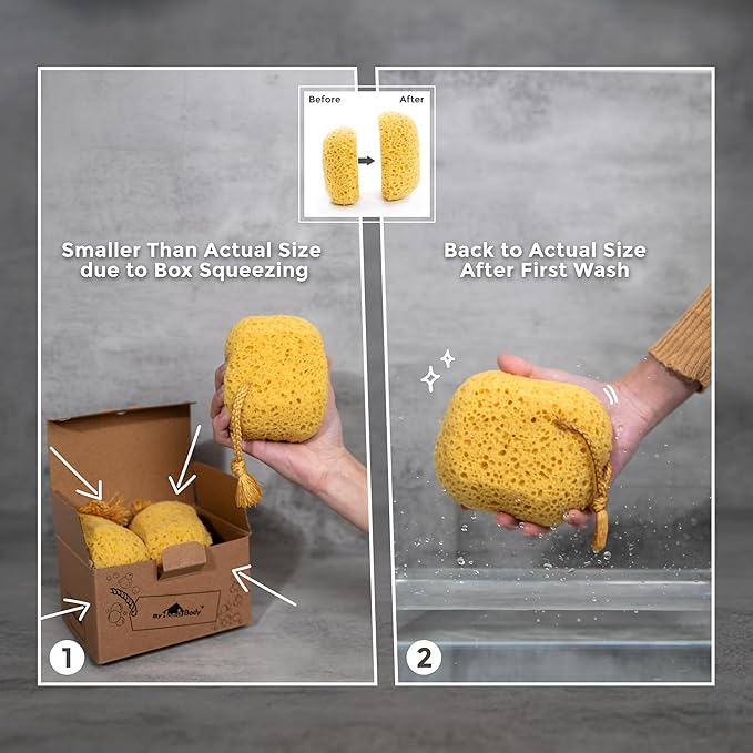 myHomeBody Bath Sponge, Foam Loofah, Body Scrubber for Bathing, Exfoliating Shower Pouf for Shower – Large Size, Lots of Lather, Curvy, 2 Pack